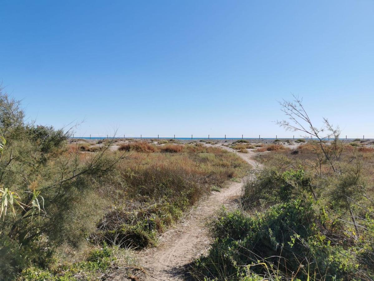 Global Properties, Apartamento En Marjal De Corinto Con Piscina 萨贡托 外观 照片