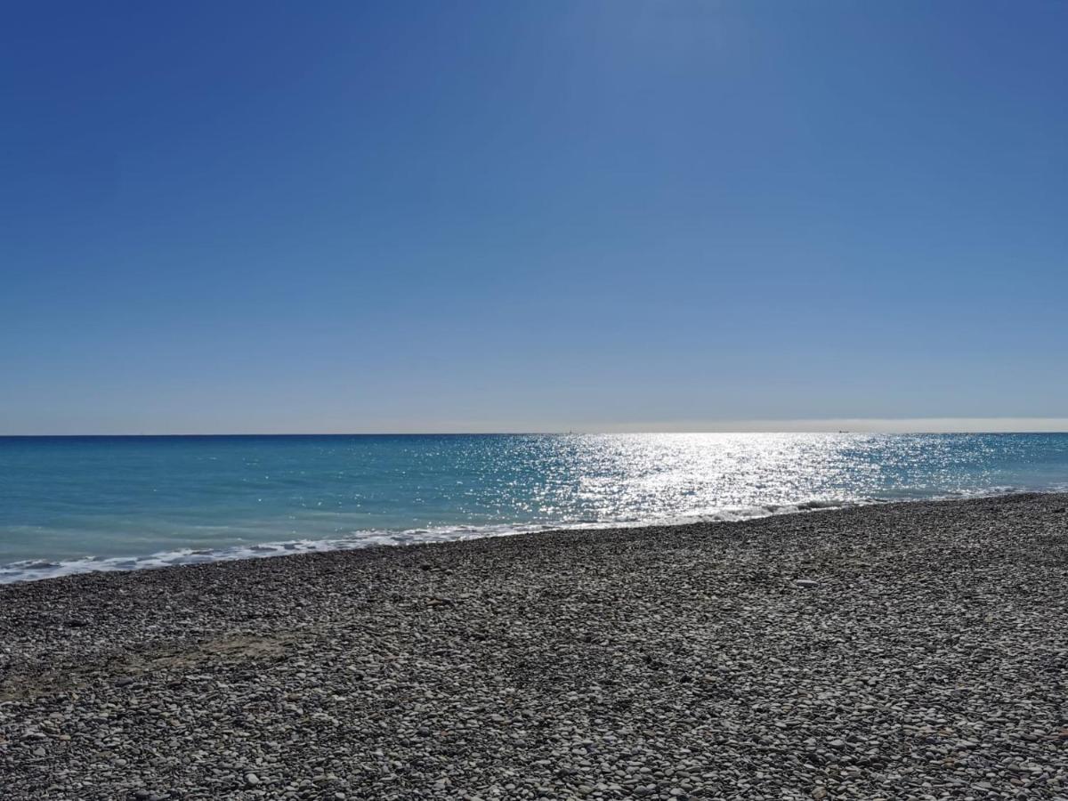 Global Properties, Apartamento En Marjal De Corinto Con Piscina 萨贡托 外观 照片