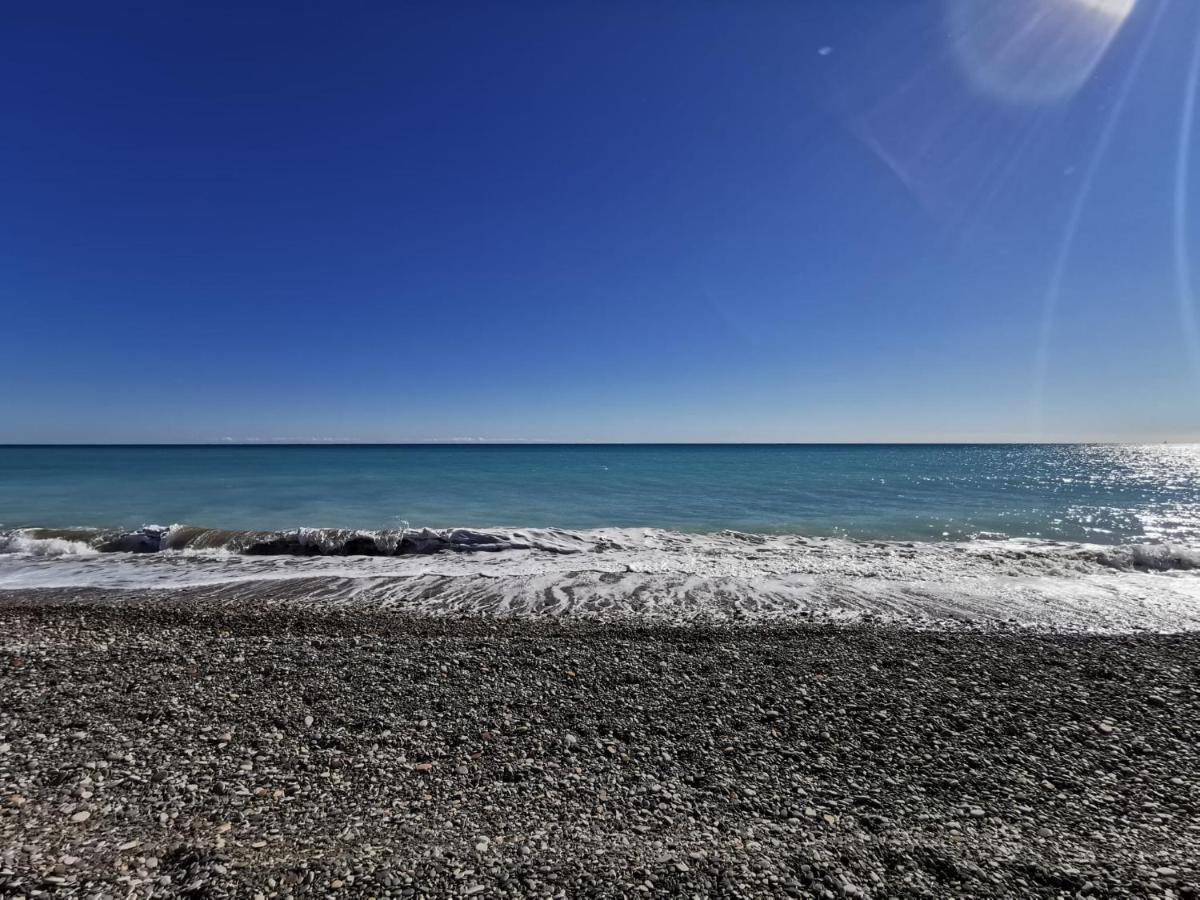 Global Properties, Apartamento En Marjal De Corinto Con Piscina 萨贡托 外观 照片
