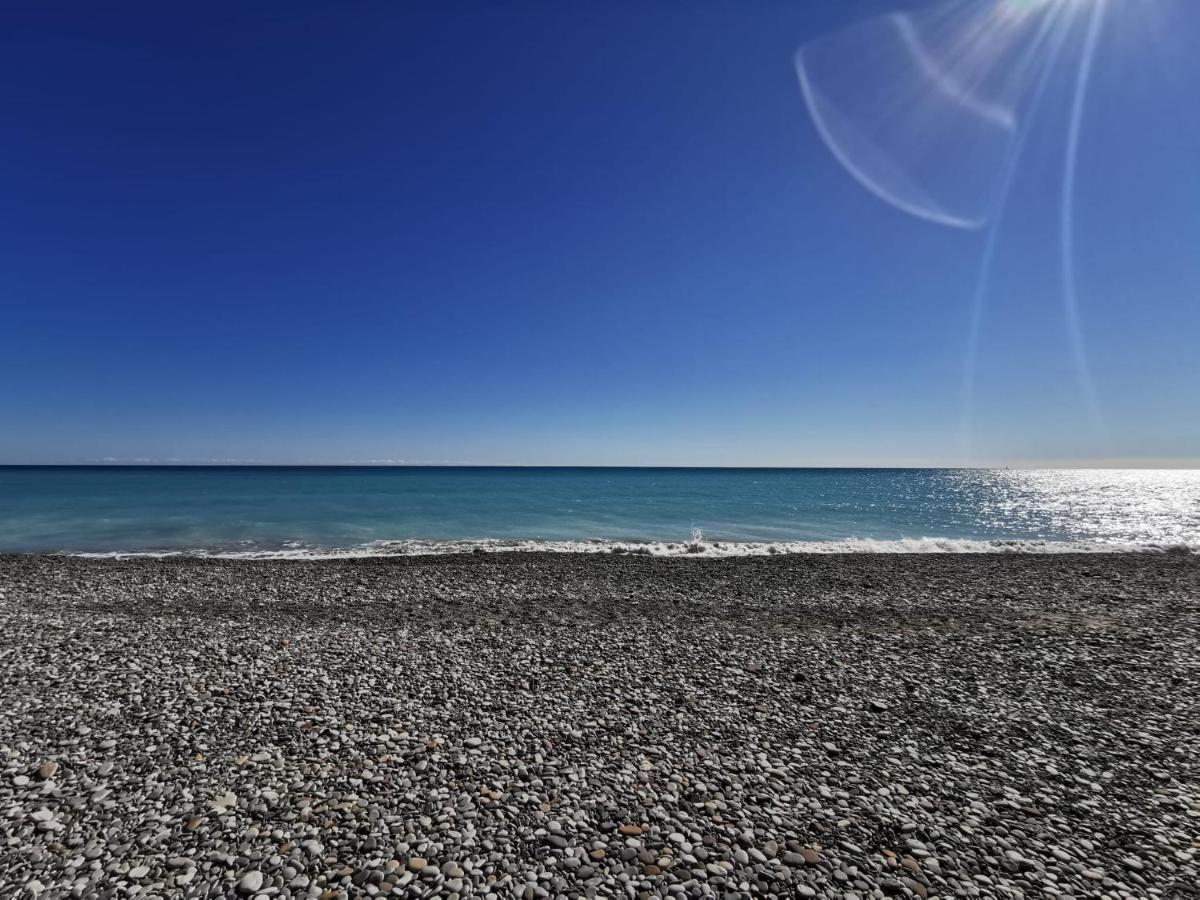 Global Properties, Apartamento En Marjal De Corinto Con Piscina 萨贡托 外观 照片